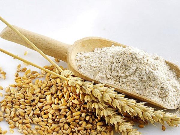 صادرات قاووت سویق گندم ممتاز