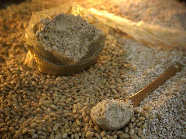 آشنایی با انواع قاووت کرمان درجه یک